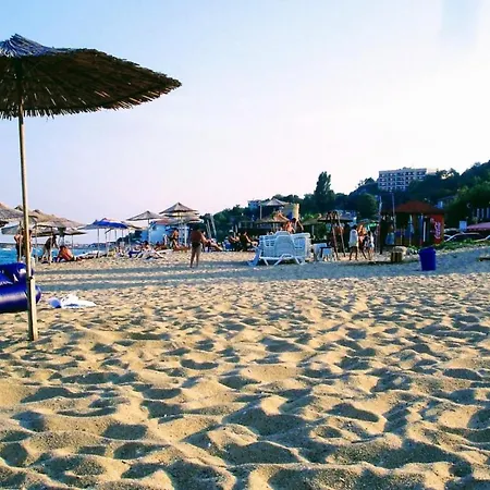 Rosa Rogosa * Nisipurile de Aur