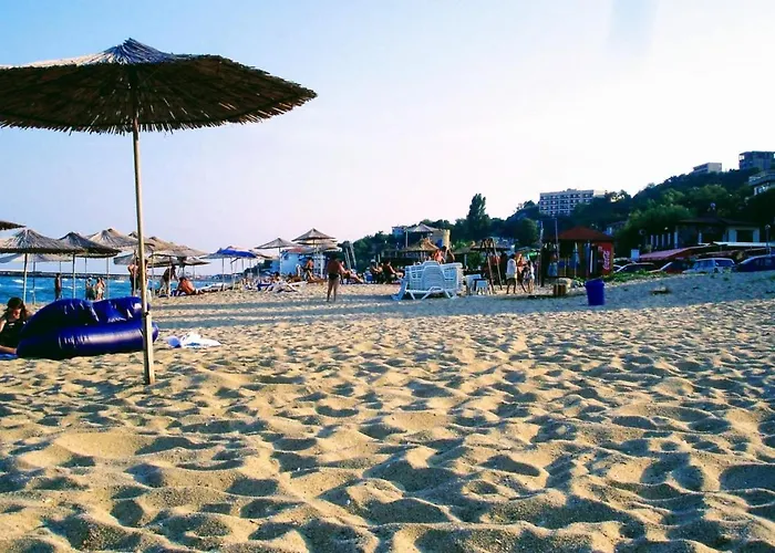 Rosa Rogosa * ゴールデンサンド