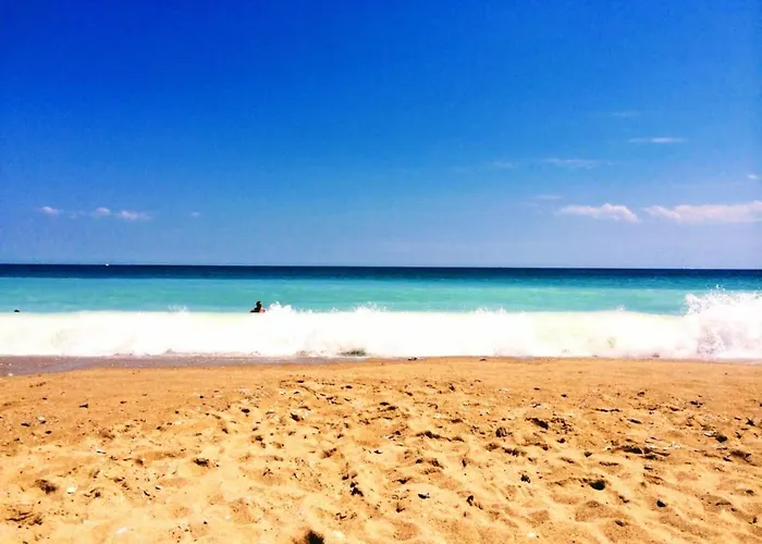 Rosa Rogosa ゴールデンサンド